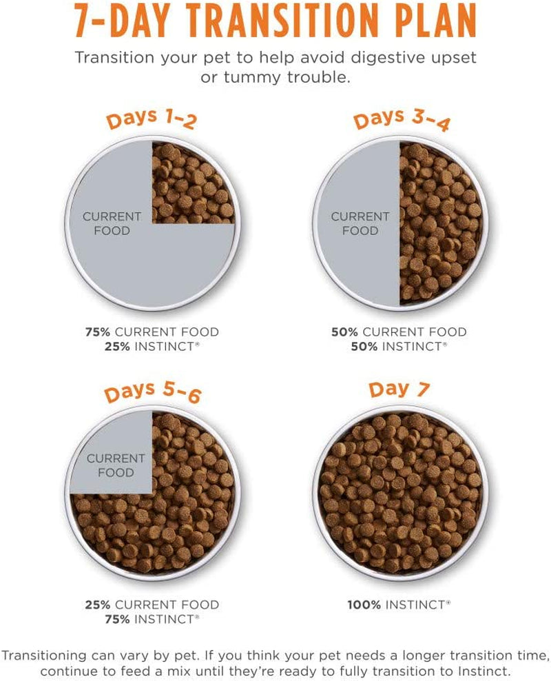 Limited Ingredient Diet Dry Dog Food, Real Salmon, 20 Lb. Bag | Single Animal Protein and Vegetable Recipe, Raw-Coated Kibble, Wild-Caught Salmon, Gentle on Sensitive Stomachs