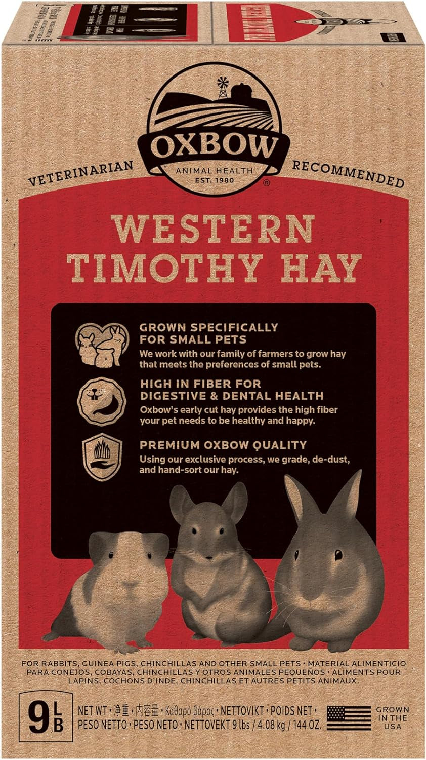 Western Timothy Hay, Guinea Pig Hay, Small Pet Bunny Supplies, All Natural Grass for Guinea Pig, Bunny, Chinchilla & Hamster,  Rabbit Supplies for Bunnies, 9 Lb Box |  Timothy Hay, Bunny Hay for Rabbits, Guinea Pigs, Bunnies and Chinchillas, Hand-Sorted, De-Dusted, Made in USA