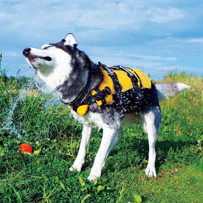 DFD Dog Life Jacket, Dog Life Vest for Swimming - Small, Red | Adjustable Dog Swim Vest, Padded Neoprene Straps, Grab Handle, 50% More Flotation Material, Reflective Trim, Stays Upright