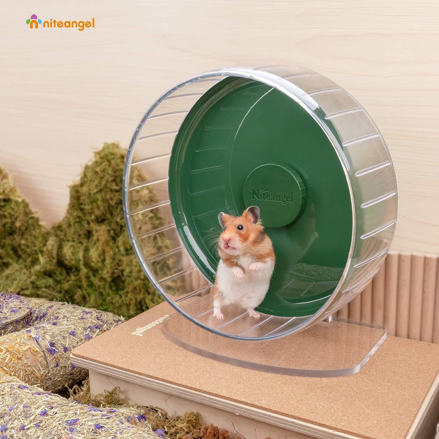 Super-Silent Hamster Exercise Wheels: Quiet 10 Inch Running Wheel | Can 10.6-13.4" Adjustable Height - No Bend Back Spinner Running for Dwarf Syrian Hamster Gerbils Mice or Other Small Animal